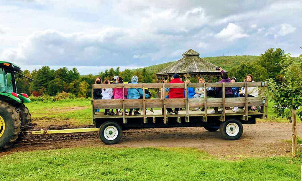 tractor pull a wagon at Sholan Farms.