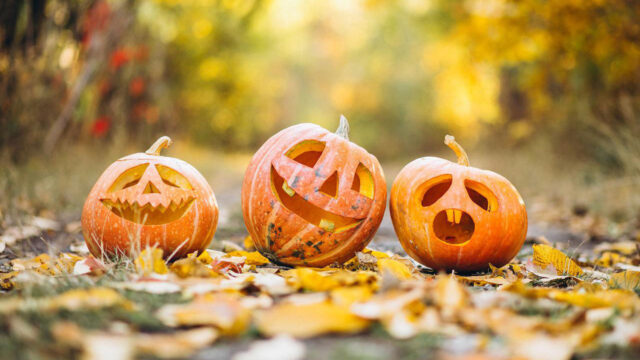 Everything You Need to Know about Halloween in Leominster