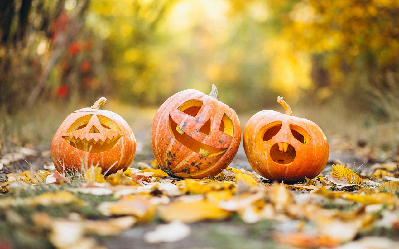 Everything You Need to Know about Halloween in Leominster - Living in ...