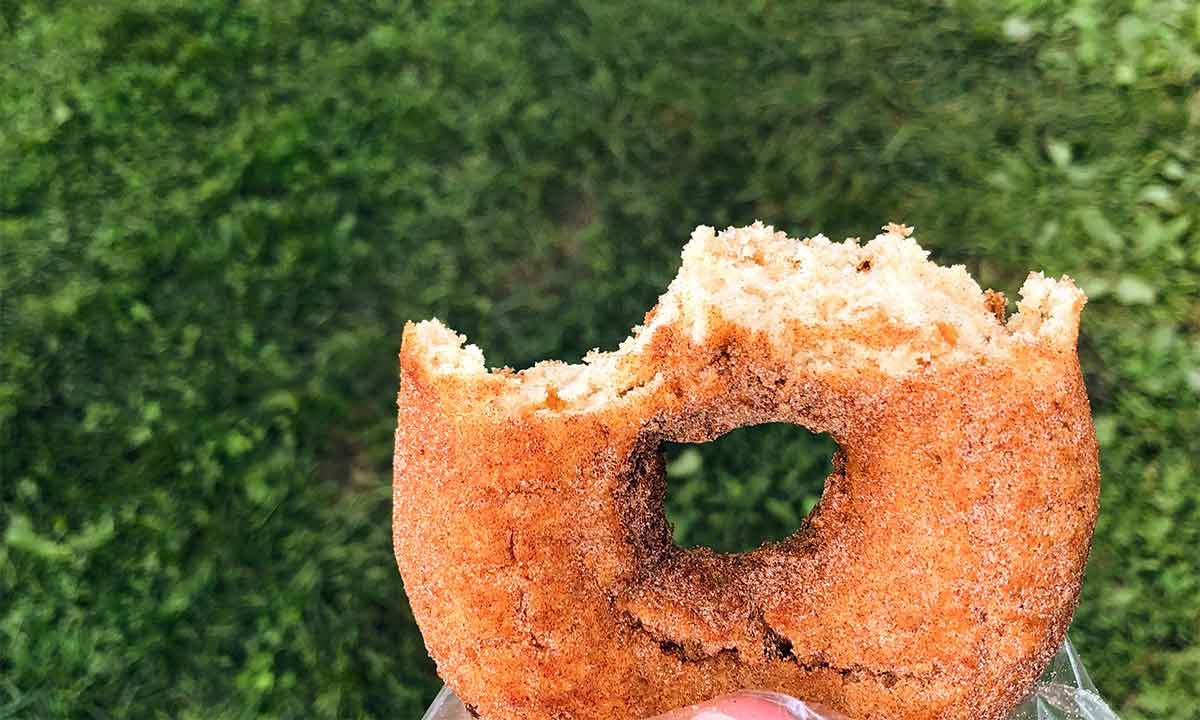 cider donut.